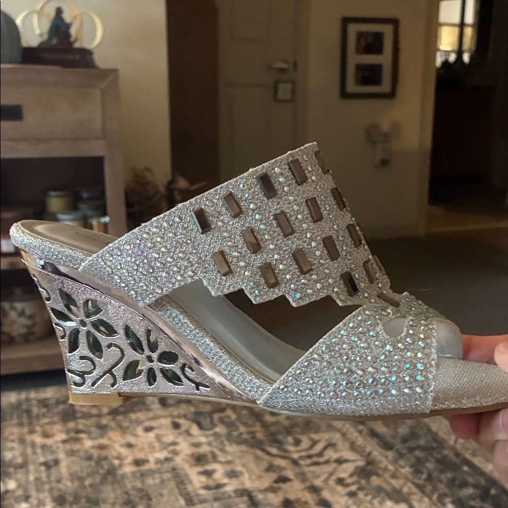 Midnight Velvet Silver Glitter Wedges